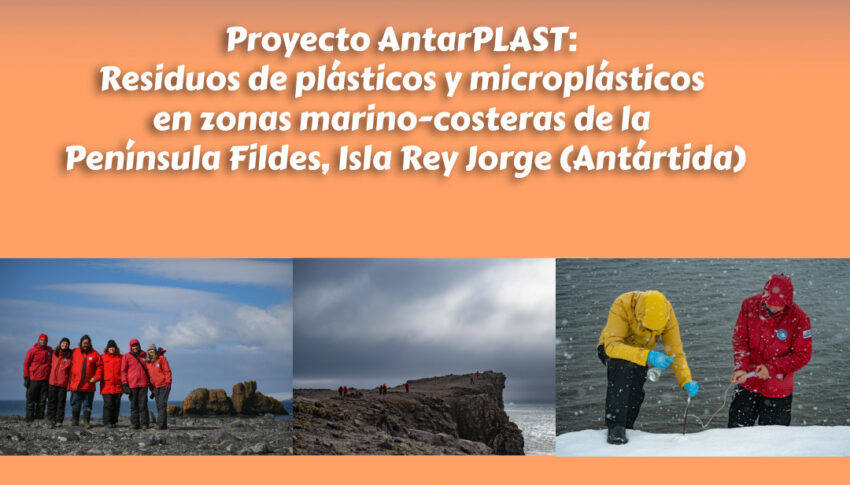 AntarPLAST: Residuos de plásticos y microplásticos en zonas marino-costeras de la Península Fildes, Isla Rey Jorge (Antártida) en Udelar en todo el país