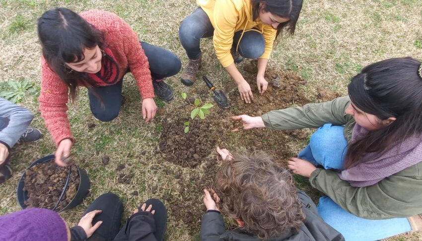 Jornada de plantación de frutales nativos y elaboración de cartelería, organizada por el centro de estudiantes del CURE Rocha