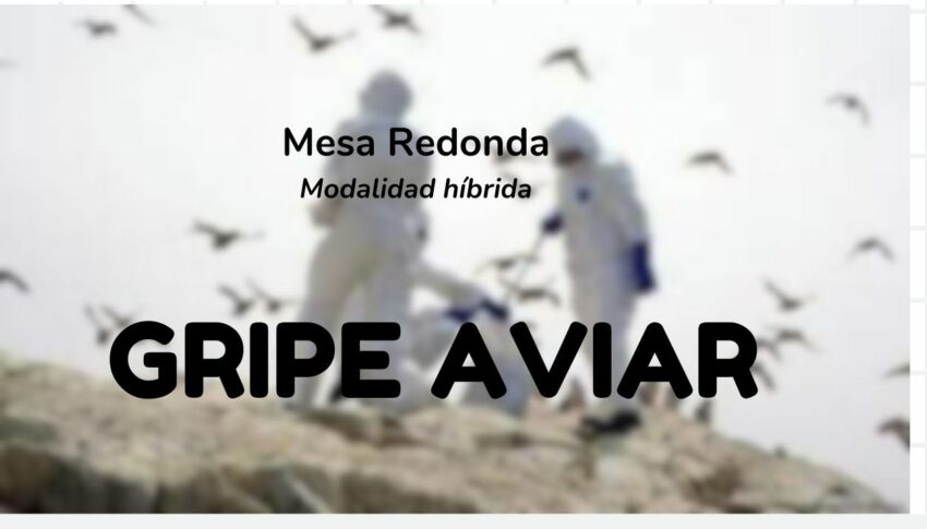 Mesa Redonda “Gripe Aviar en Uruguay. Perspectivas y desafíos”, miércoles 23 de agosto