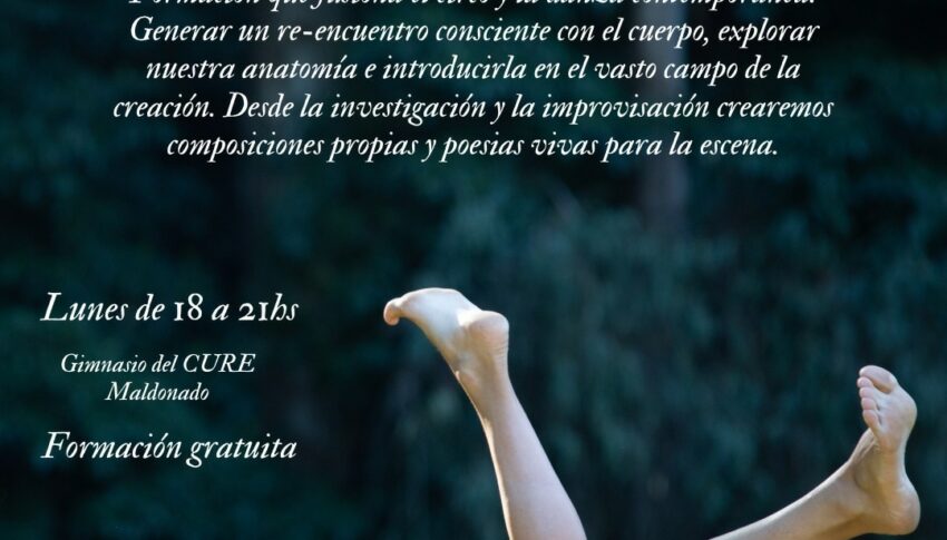 Curso de formación y creación artística en circo y danza, “Del cuerpo a la escena”