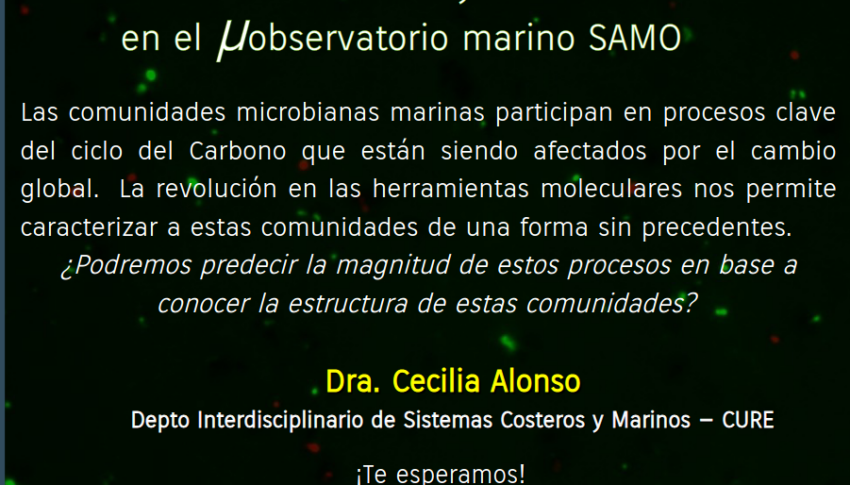 Comunidades Microbianas y el Ciclo del Carbono en el µObservatorio Marino SAMO: Ciclo de Charlas en Oceanografía Biológica