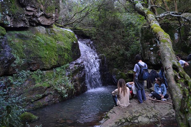 Licenciatura en Turismo: La “profesionalización del trabajador de Turismo podría generar un cambio” 