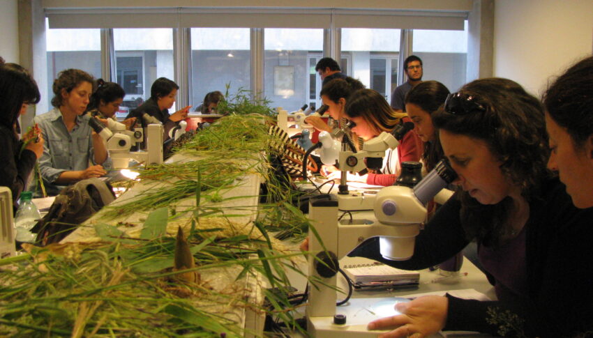 Diseño de Paisaje: el CURE es “el único lugar en el país donde se dicta esta carrera” 